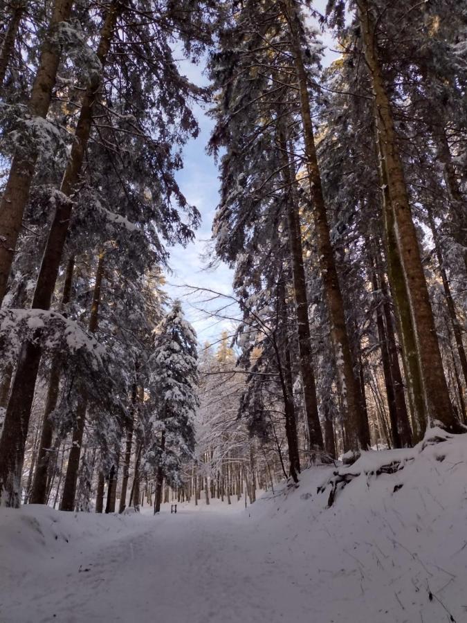 Baita La Stradella Serravalle  Bagian luar foto