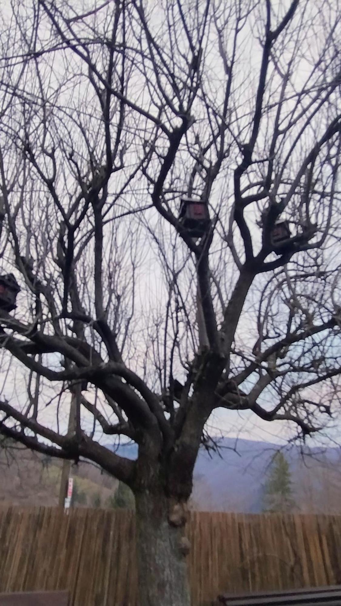 Baita La Stradella Serravalle  Bagian luar foto